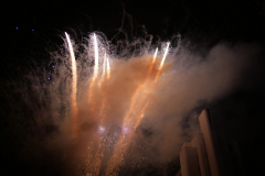 P1033777