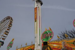 P1037103