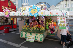 P1051654