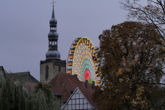 P1060989