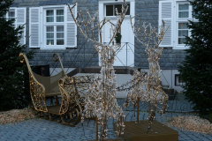 P1088086