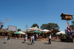 P1077571