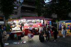 P1078965