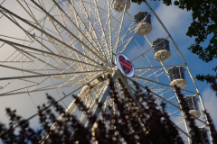 P1084781