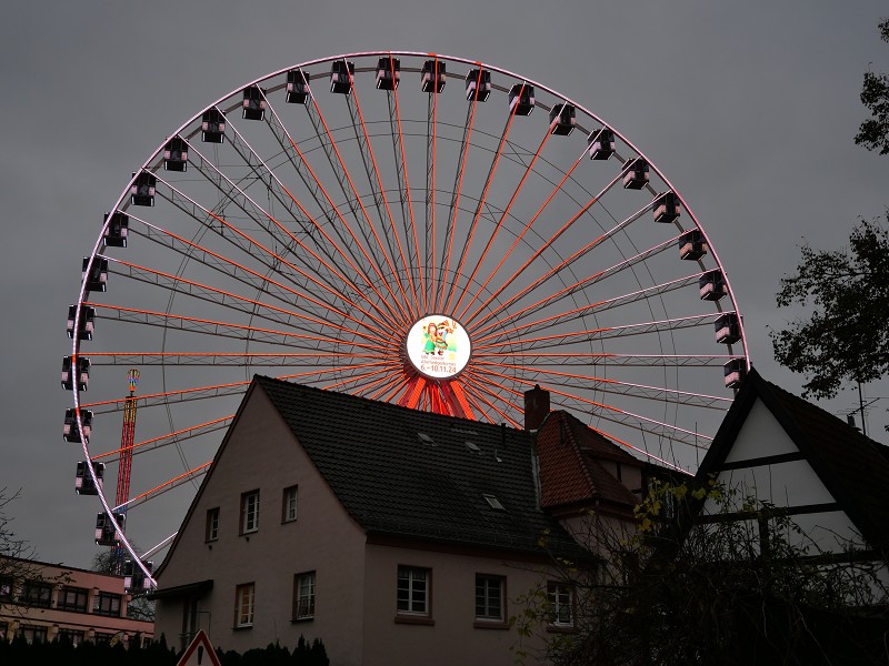 P1087039