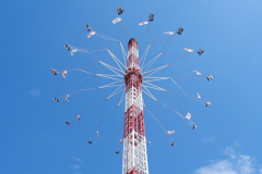P1100033