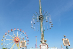 P1108578