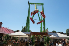 P1123946