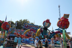 P1124285