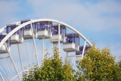 P1125141
