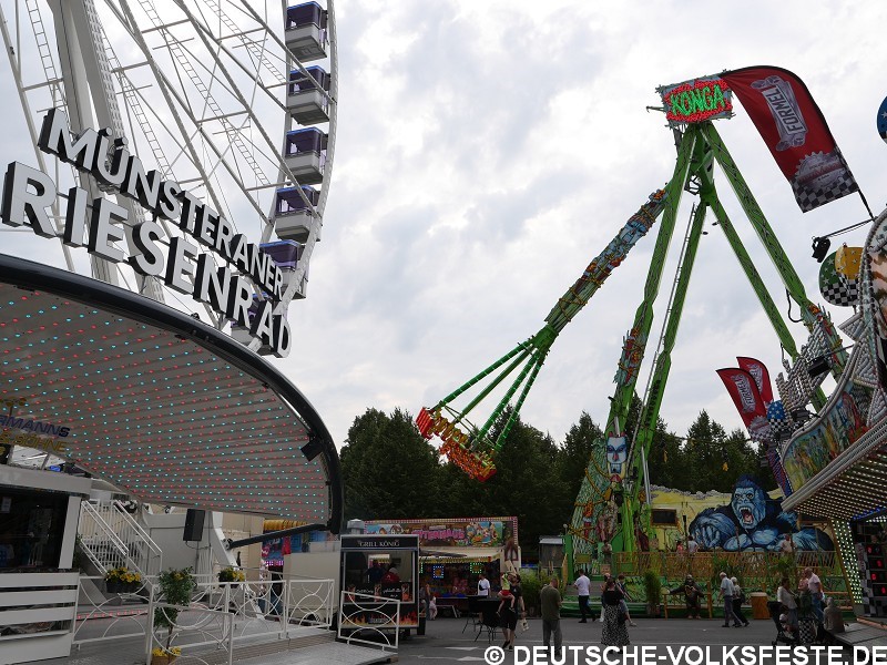 Münster Sommersend 2026
